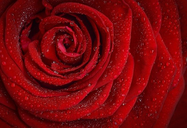 comment avouer ses sentiments amoureux ?